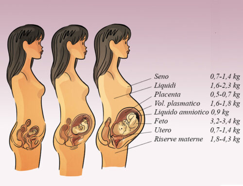 2 – Incremento di peso consigliato in gravidanza