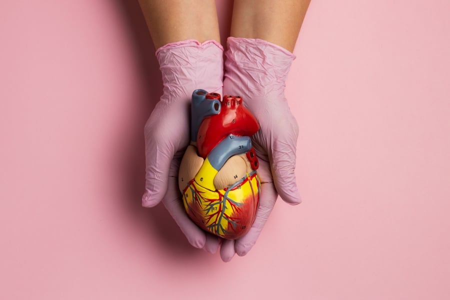 immagine cuore